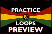 Preview Practice Loops